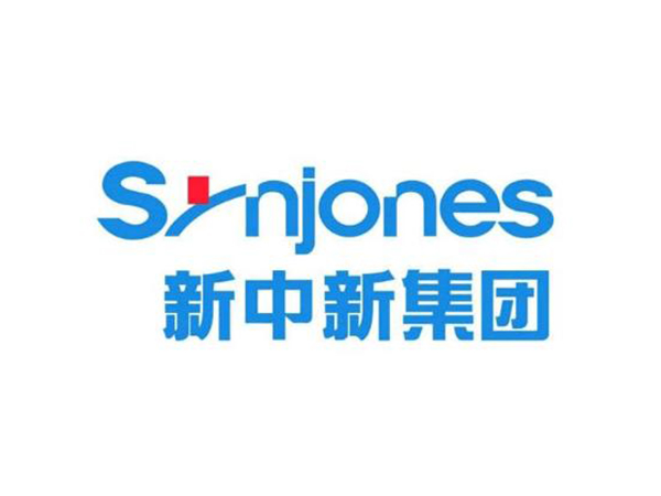 新中新能源